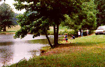 [pond pic]